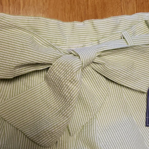 NWT Lauren James green stripe seersucker shorts M - Picture 3 of 5